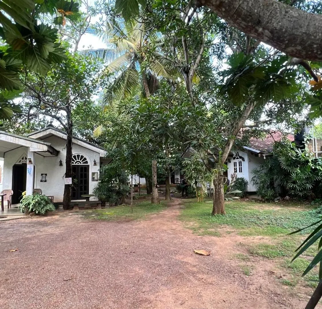 Sylvester Villa Hostel Negombo Sri Lanka