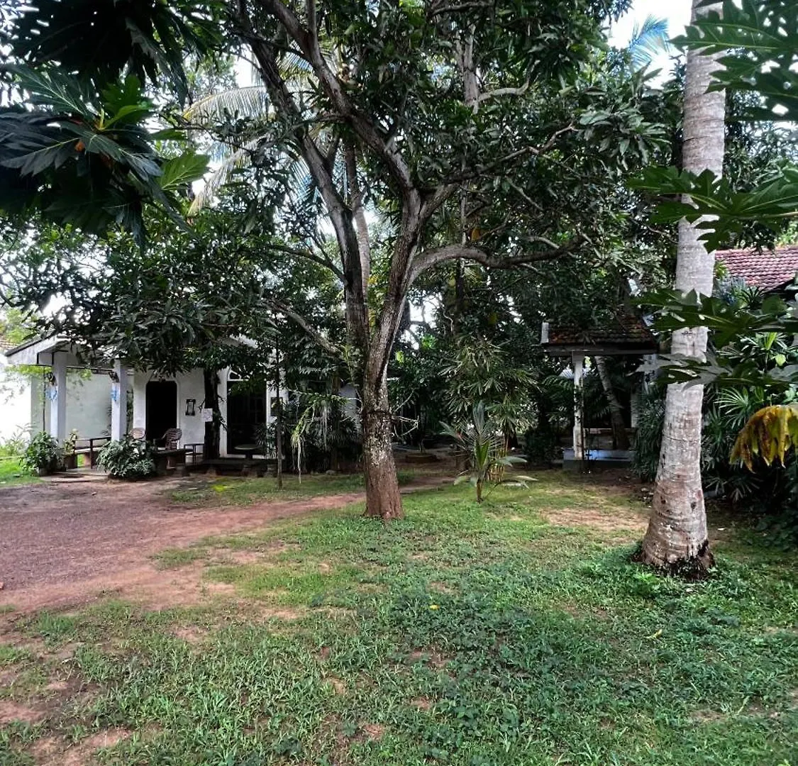 Sylvester Villa Hostel Negombo